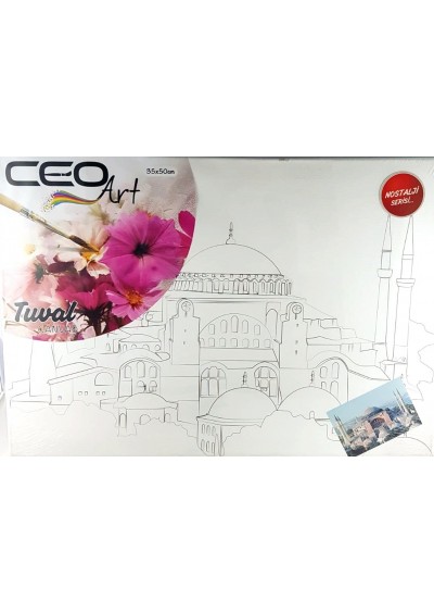 Ceoart Desenli Tuval 35x50  - Ayasofya