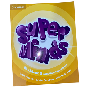 Super Minds Level 5 Workbook