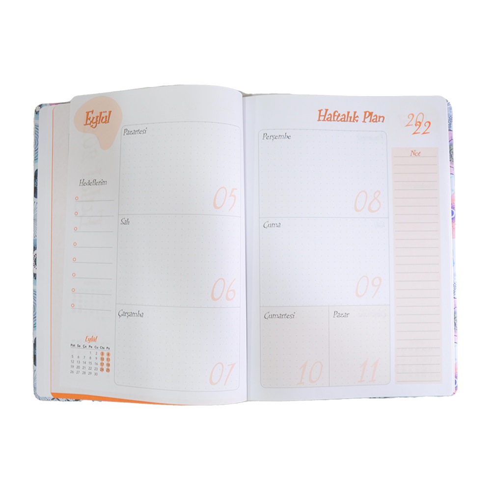 Lizy 17x24 Akademik Ajanda 2023 Eylül-2024 Aralık- Mor Papatyalar