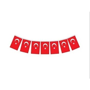 Vatan Bayrak İpli Orta Boy 13*8 Cm 40'lı